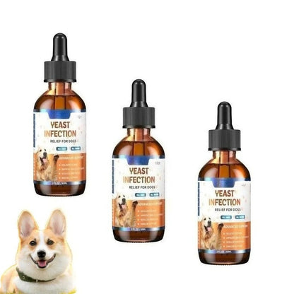 Haut- & Ohrentropfen für Hunde