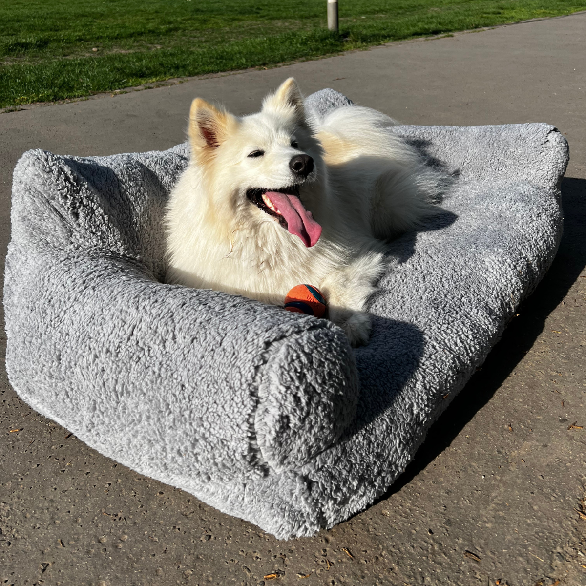 Beruhigendes Haustiersofa