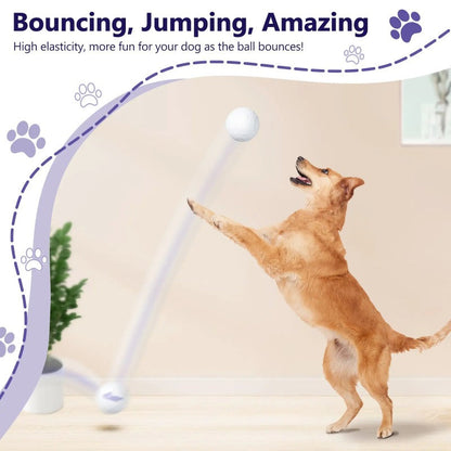 Indestructible Dog Ball