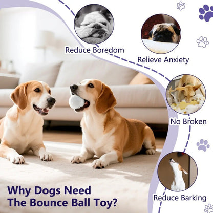 Indestructible Dog Ball