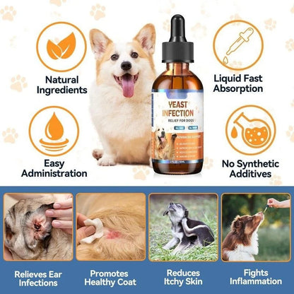 Haut- & Ohrentropfen für Hunde