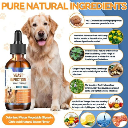 Haut- & Ohrentropfen für Hunde