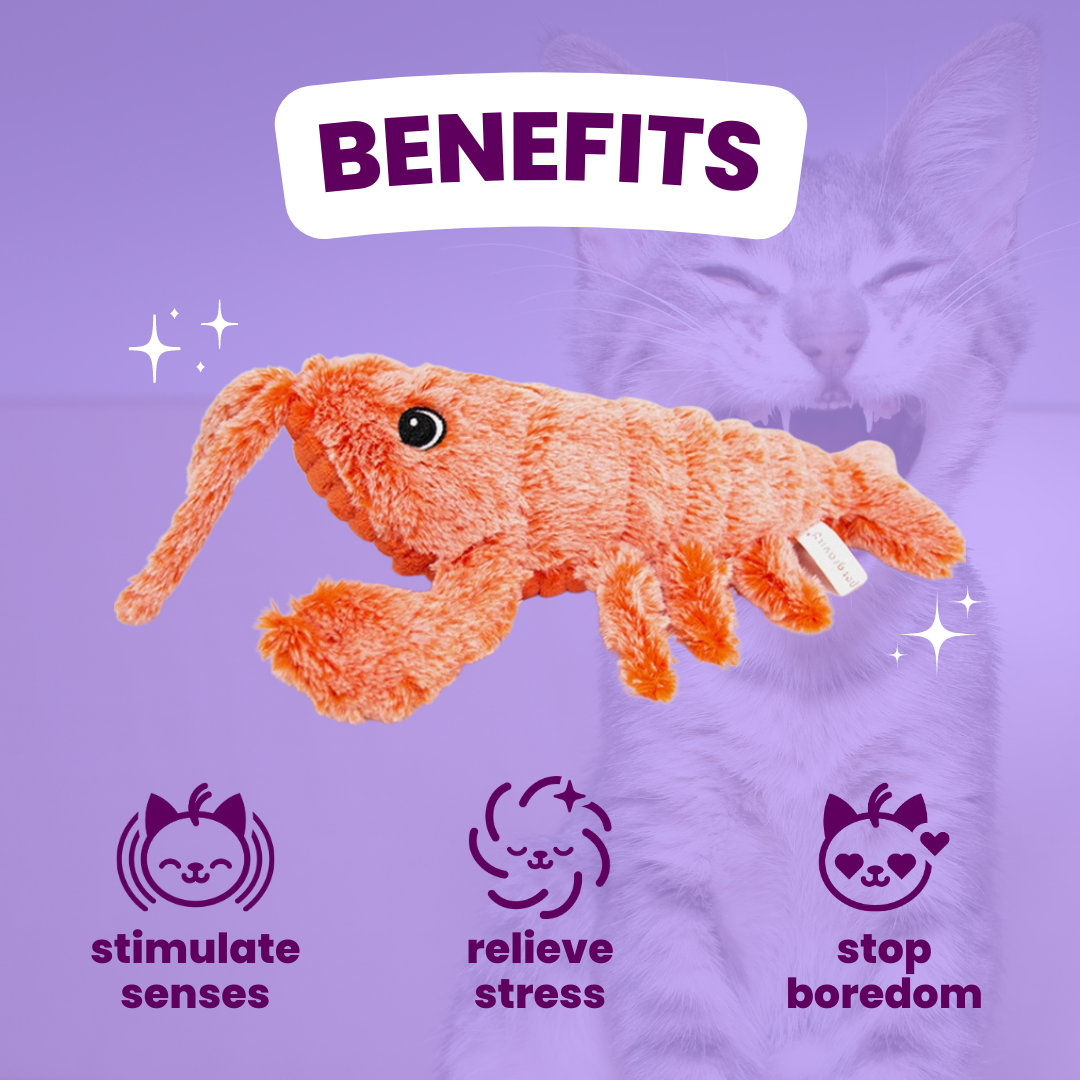 Herr Zappelhummer