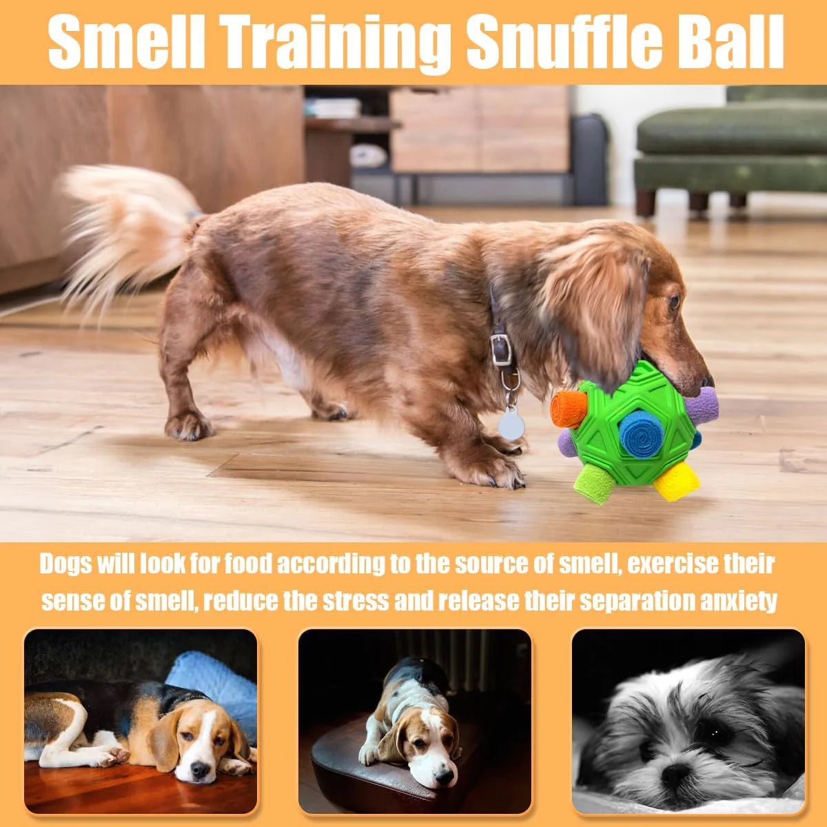 🎁Meet Christmas 50% OFF-Dog Puzzle Ball