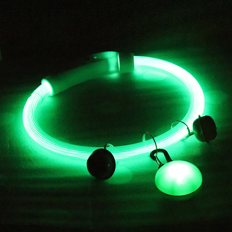 LED-Hundesicherheitshalsband