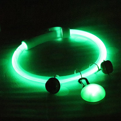 LED-Hundesicherheitshalsband