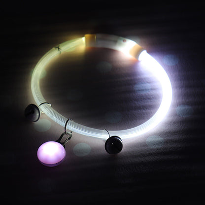 LED-Hundesicherheitshalsband