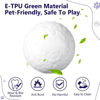 Indestructible Dog Ball